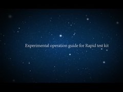 रैपिड टेस्ट