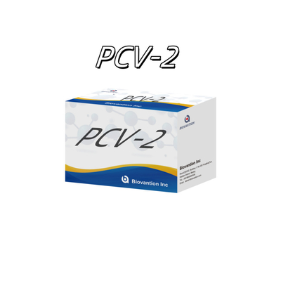 पशु एंटीबॉडी पशु चिकित्सा अभिकर्मकों के लिए WB/S/P PCV-2 ELISA परीक्षण