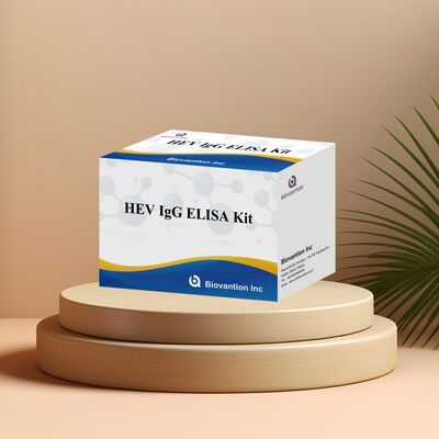 हेपेटाइटिस ई निदान के लिए 96T आकार और 18 महीने के शेल्फ लाइफ के साथ उच्च संवेदनशीलता HEV-IgG ELISA टेस्ट किट