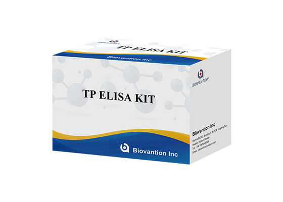 पुरुष और महिला संक्रमण उच्च सिफलिस टीपी Ab एंटीबॉडी ELISA टेस्ट किट