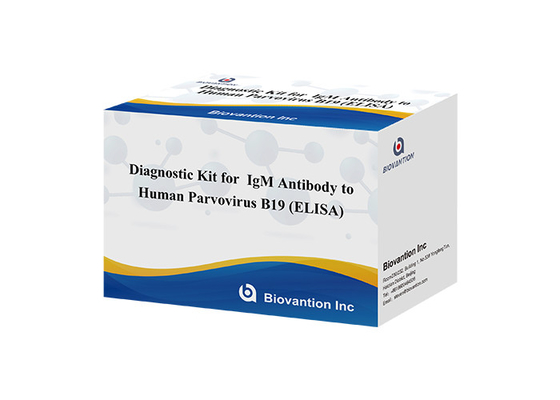 मानव पार्वोवायरस B19 IgM ELISA टेस्ट किट डायग्नोस्टिक किट