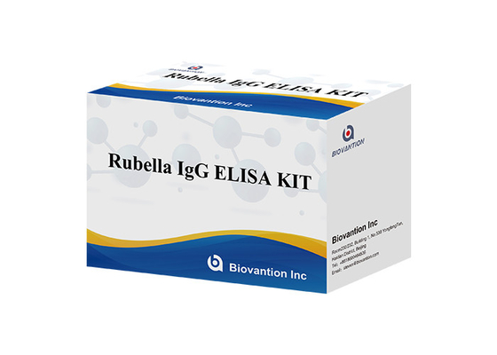 प्रयोगशाला या अस्पताल उच्च सटीकता रूबेला IgG ELISA परीक्षण किट