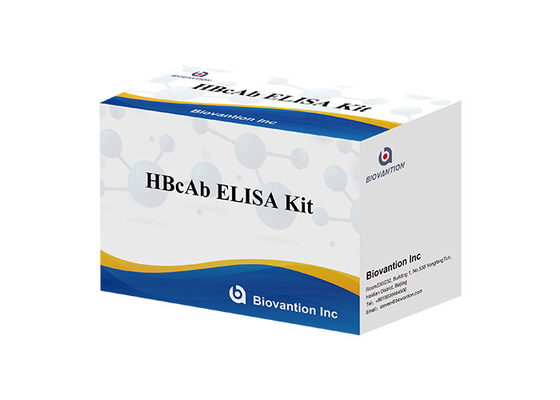 HBcAb ब्लड टेस्ट एलिसा टेस्ट एंजाइम लिंक्ड इम्युनोसॉरबेंट परख