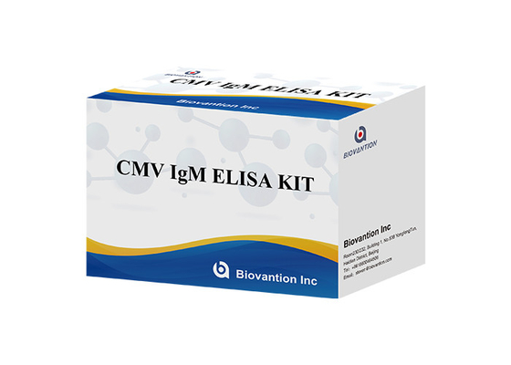प्रयोगशाला या अस्पताल उच्च परिशुद्धता एंटीबॉडी IgM To Cytomegalovirus (CMV) ELISA टेस्ट किट