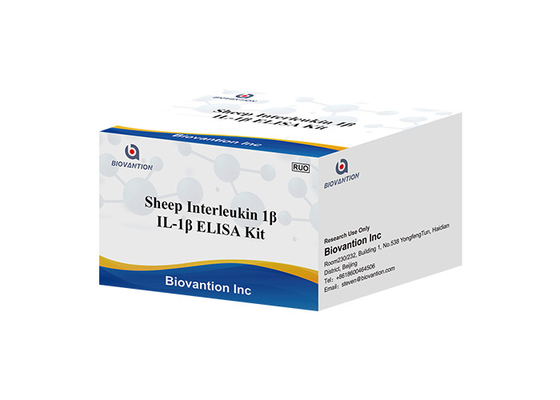 भेड़ इंटरल्यूकिन 1 बीटा एलिसा किट IL1F2 एलिसा आरयूओ टेस्ट किट Il1b एलिसा किट