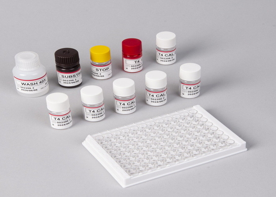 प्रयोगशाला या अस्पताल के लिए उच्च सटीकता H.Pylori IgG Elisa टेस्ट किट