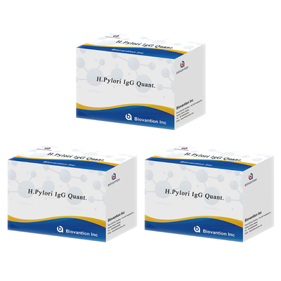 H.Pylori IgG क्वांट. एलिसा किट मूल एलिसा टेस्ट किट प्रारूप किट
