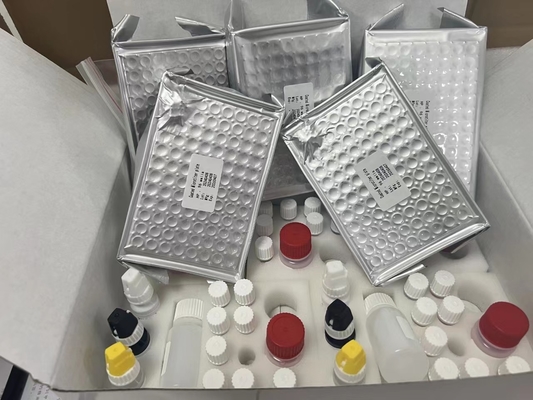 11-डिहाइड्रो-थ्रोम्बोक्साइन बी 2 11dhTxB2 ELISA टेस्ट किट IVD उच्च सटीकता और सरल संचालन