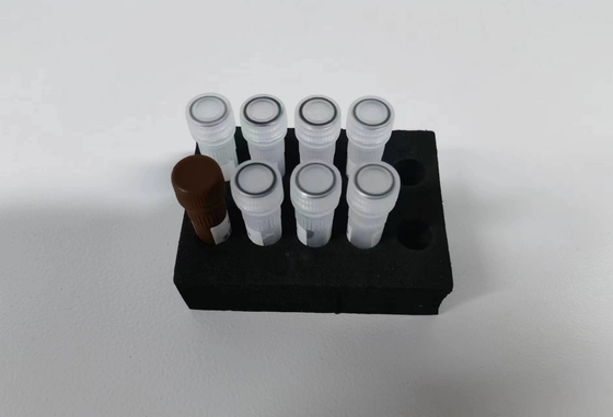 45 मिनट स्टैंडर्ड Taq DNA Polymerase PCR Reagent Endo/Exonuclease Activity परीक्षण किया गया भंडारण 2-8.C पर