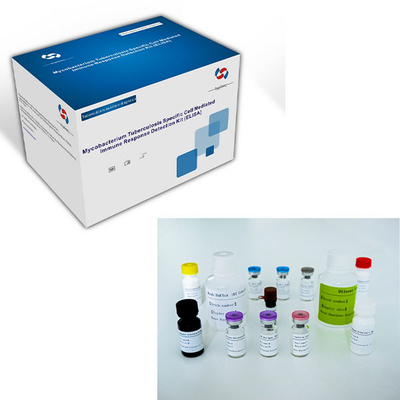 टीबी के लिए आसान-IGRA ELISA टेस्ट किट लंबे शेल्फ जीवन और 2C-8C संरक्षण विधि के साथ