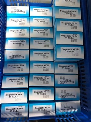 पुरुष और महिला संक्रमण उच्च सिफलिस टीपी Ab एंटीबॉडी ELISA टेस्ट किट