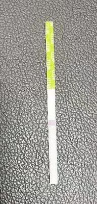 ऑरवेल ओरल फ्लूइड ड्रग स्क्रीनिंग डिवाइस