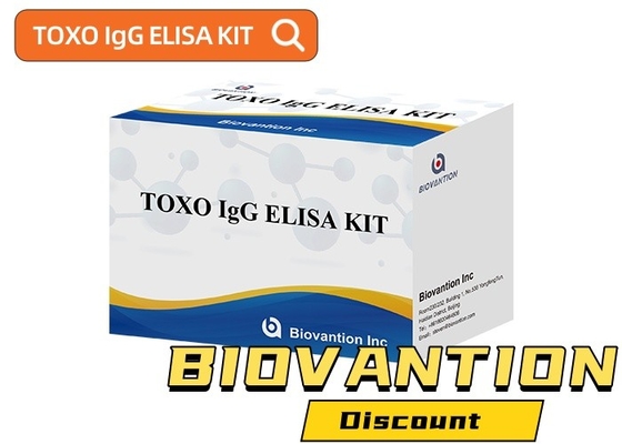 TOXO Ig G रोग निगरानी के लिए संवेदनशील और विशिष्ट एलिसा टेस्ट किट