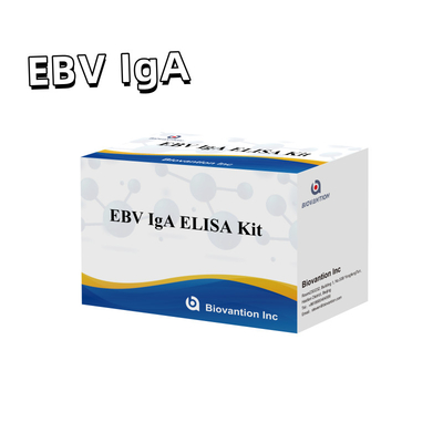 EBV-Zta के प्रति IgA एंटीबॉडी के लिए डायग्नोस्टिक किट के लिए प्रोफेशनल एलिसा टेस्ट किट
