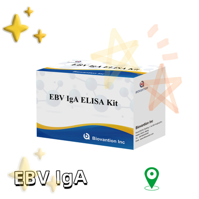 EBV-Zta के प्रति IgA एंटीबॉडी के लिए डायग्नोस्टिक किट के लिए प्रोफेशनल एलिसा टेस्ट किट