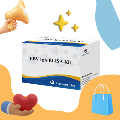 EBV-Zta के प्रति IgA एंटीबॉडी के लिए डायग्नोस्टिक किट के लिए प्रोफेशनल एलिसा टेस्ट किट