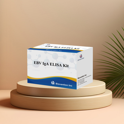 EBV-Zta के प्रति IgA एंटीबॉडी के लिए डायग्नोस्टिक किट के लिए प्रोफेशनल एलिसा टेस्ट किट