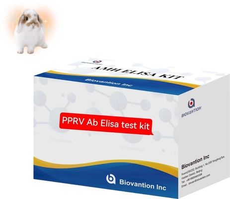 Peste Des Petits Ruminants PPRV Ab ELISA Kit पशु चिकित्सा परीक्षण किट