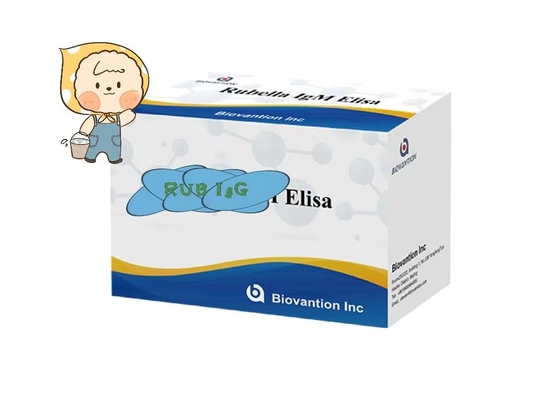 रूबेला IgG ELisa टेस्ट किट फर्टिलिटी ट्राच गर्भवती महिलाओं का उपयोग करें