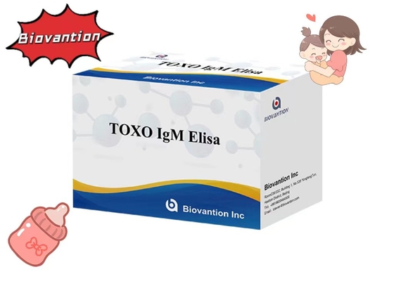 TOXO IgM ELISA टेस्ट किट टॉर्च उच्च संवेदनशीलता अस्पताल परीक्षण गर्भावस्था जांच
