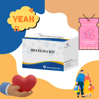 चिकित्सा निदान HE4 ELISA KITS के लिए संवेदनशील और विश्वसनीय ELISA Assay Kit