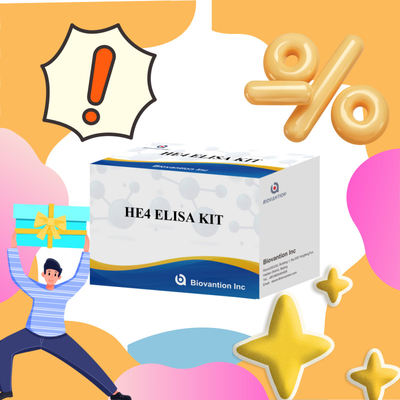 चिकित्सा निदान HE4 ELISA KITS के लिए संवेदनशील और विश्वसनीय ELISA Assay Kit