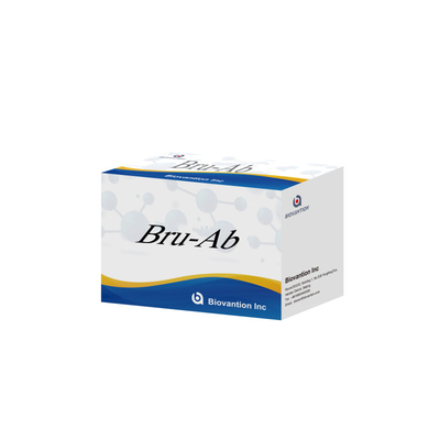 सीई आईएसओ 13485 के साथ लक्षित पता लगाने के लिए Bru Ab सटीक ELISA परीक्षण किट