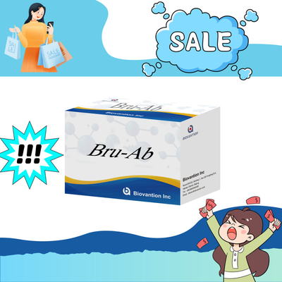 ELISA Animal Bru-Ab Elisa Reagent With 192t सुअर बकरी मवेशी और भेड़ के लिए