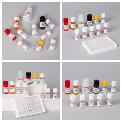 β- hCG ((Quantitative) एंटीबॉडी संवेदनशीलता और विशिष्टता के लिए 1 घंटे का एलिसा टेस्ट किट