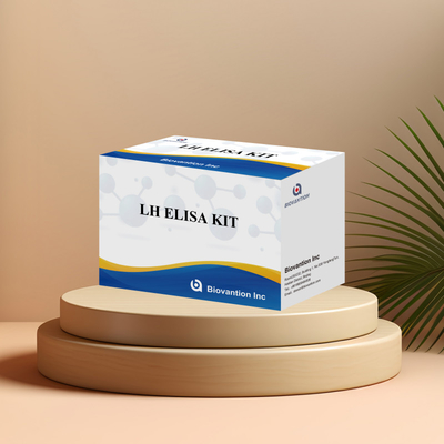 डायग्नोसिस के लिए Biovantion ELISA टेस्ट किट मानव ल्यूटीनाइजिंग हार्मोन LH (Quantitative) हार्मोन का पता लगाने