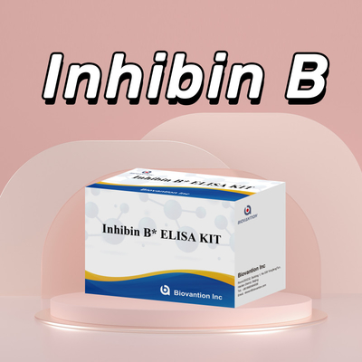 96T के साथ मानव निदान के लिए Biovantion Inhibin B Elisa टेस्ट किट