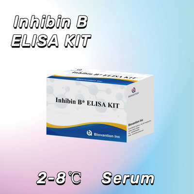96T के साथ मानव निदान के लिए Biovantion Inhibin B Elisa टेस्ट किट