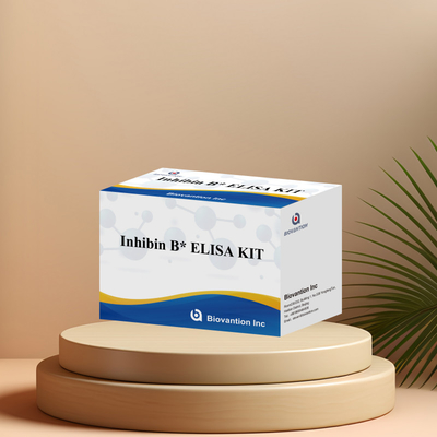 96T के साथ मानव निदान के लिए Biovantion Inhibin B Elisa टेस्ट किट
