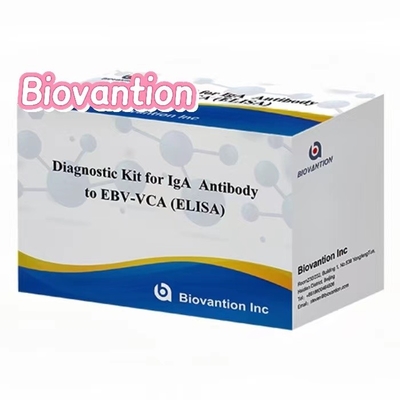 50μl सीरम नमूने का उपयोग करके चिकित्सा निदान के लिए उच्च संवेदनशीलता EBV VCA IgA ELISA किट