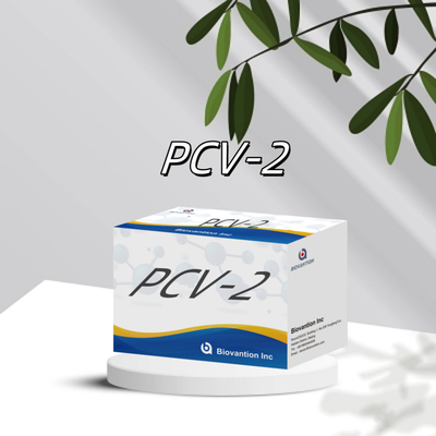 पशु एंटीबॉडी पशु चिकित्सा अभिकर्मकों के लिए WB/S/P PCV-2 ELISA परीक्षण