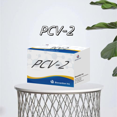 पशु एंटीबॉडी पशु चिकित्सा अभिकर्मकों के लिए WB/S/P PCV-2 ELISA परीक्षण