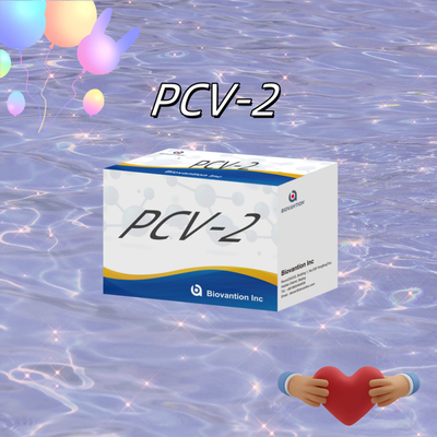 पशु एंटीबॉडी पशु चिकित्सा अभिकर्मकों के लिए WB/S/P PCV-2 ELISA परीक्षण