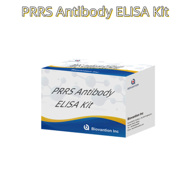पशु PRRSV के लिए ELISA परीक्षण सूअर PRRS एंटीबॉडी एंटीबॉडी पशु चिकित्सा अभिकर्मक ivd