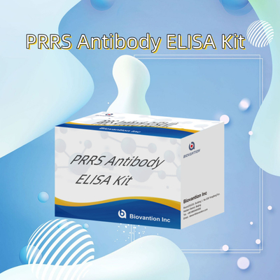 पशु PRRSV के लिए ELISA परीक्षण सूअर PRRS एंटीबॉडी एंटीबॉडी पशु चिकित्सा अभिकर्मक ivd