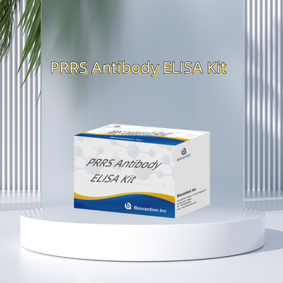 पशु PRRSV के लिए ELISA परीक्षण सूअर PRRS एंटीबॉडी एंटीबॉडी पशु चिकित्सा अभिकर्मक ivd