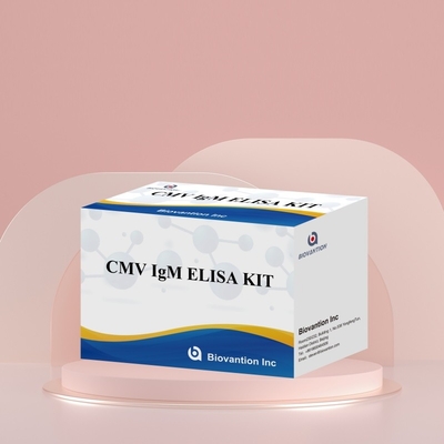 Biovantion CMV 18 महीने की शेल्फ लाइफ IVD ELISA सीरम प्लाज्मा टेस्ट किट