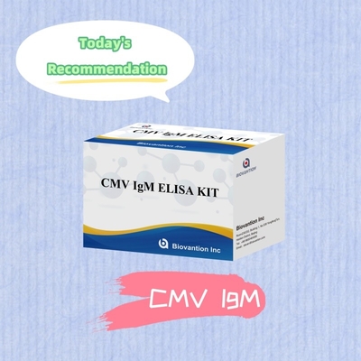 Biovantion CMV 18 महीने की शेल्फ लाइफ IVD ELISA सीरम प्लाज्मा टेस्ट किट