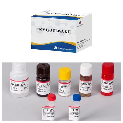Biovantion CMV 18 महीने की शेल्फ लाइफ IVD ELISA सीरम प्लाज्मा टेस्ट किट