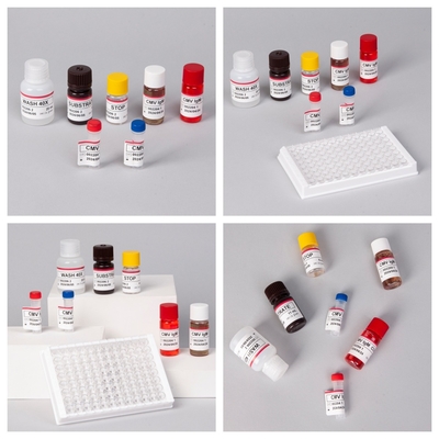 Biovantion CMV 18 महीने की शेल्फ लाइफ IVD ELISA सीरम प्लाज्मा टेस्ट किट