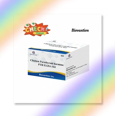 PTH ELISA टेस्ट किट चिकन एंजाइम-लिंक्ड इम्यूनोसॉर्बेंट पैराथायरायड हार्मोन सीरम