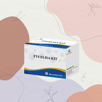 TOXO IgM IgG igg igm elisa kit for human use डायग्नोस्टिक रिएजेंट टेस्ट किट 96 किट के साथ
