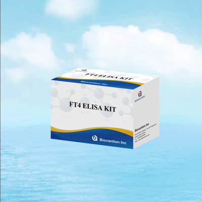 TOXO IgM IgG igg igm elisa kit for human use डायग्नोस्टिक रिएजेंट टेस्ट किट 96 किट के साथ