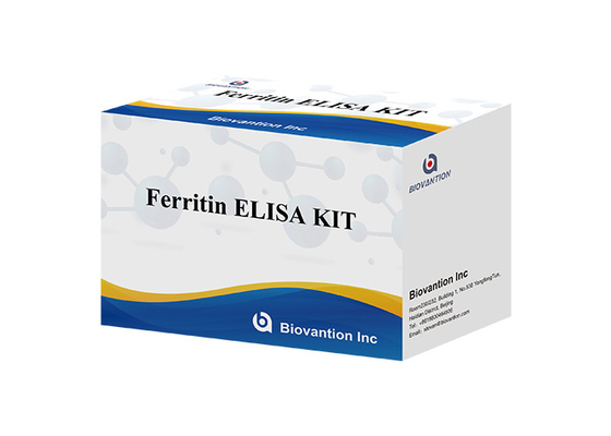 प्रयोगशाला या अस्पताल उच्च परिशुद्धता मानव फेरीटिन FE ELISA परीक्षण किट