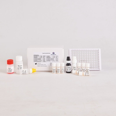 प्रयोगशाला या अस्पताल के लिए उच्च सटीकता H.Pylori IgG Elisa टेस्ट किट
