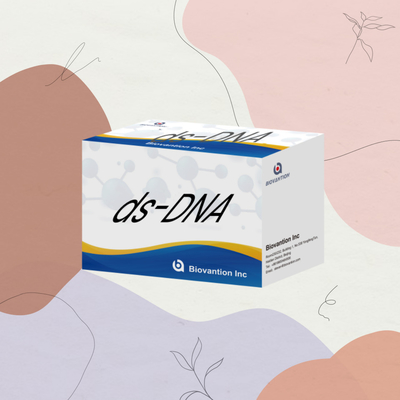 मानव उपयोग के लिए Biovantion ds-DNA संवेदनशीलता ELISA टेस्ट किट IVD अभिकर्मक